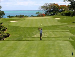 Golfer-golf course